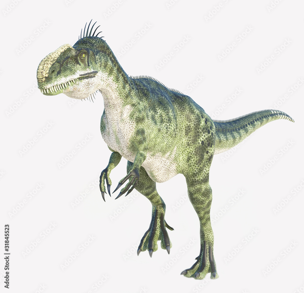 Monolophosaurus walking white background Monolophosaurus walking white background