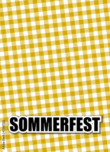 td v2b sommerfest I photo