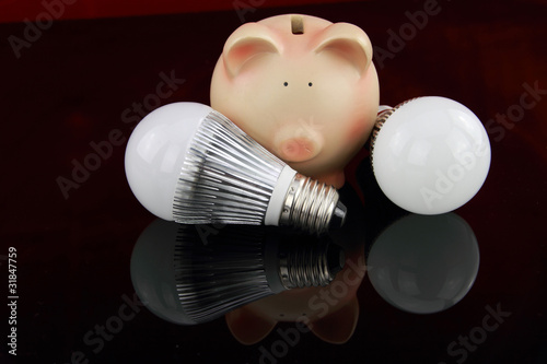 LED light bulbs with piggy bank