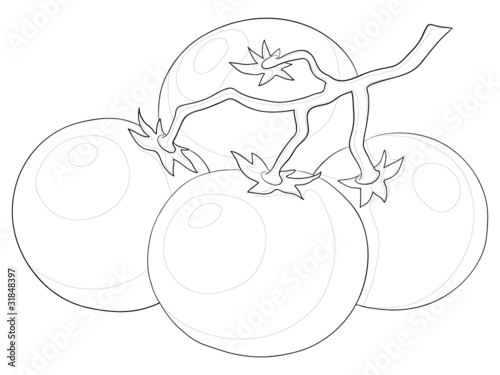 Tomatoes