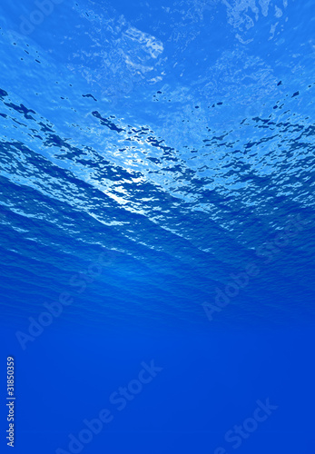 Under Sea Looking Up