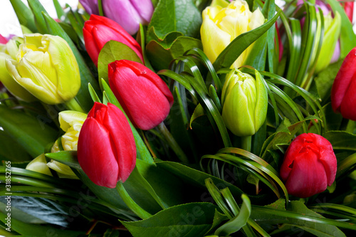 Fototapeta Naklejka Na Ścianę i Meble -  Beautiful tulips