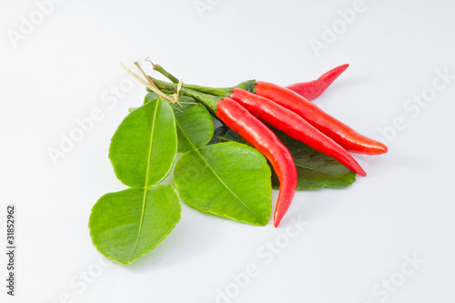 Red chilli and kaffir lime leaf