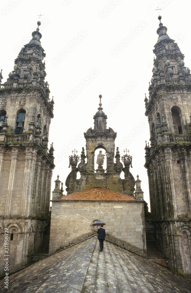 Tejado de la Catedral de Santiago de Compostela, A Coruña.