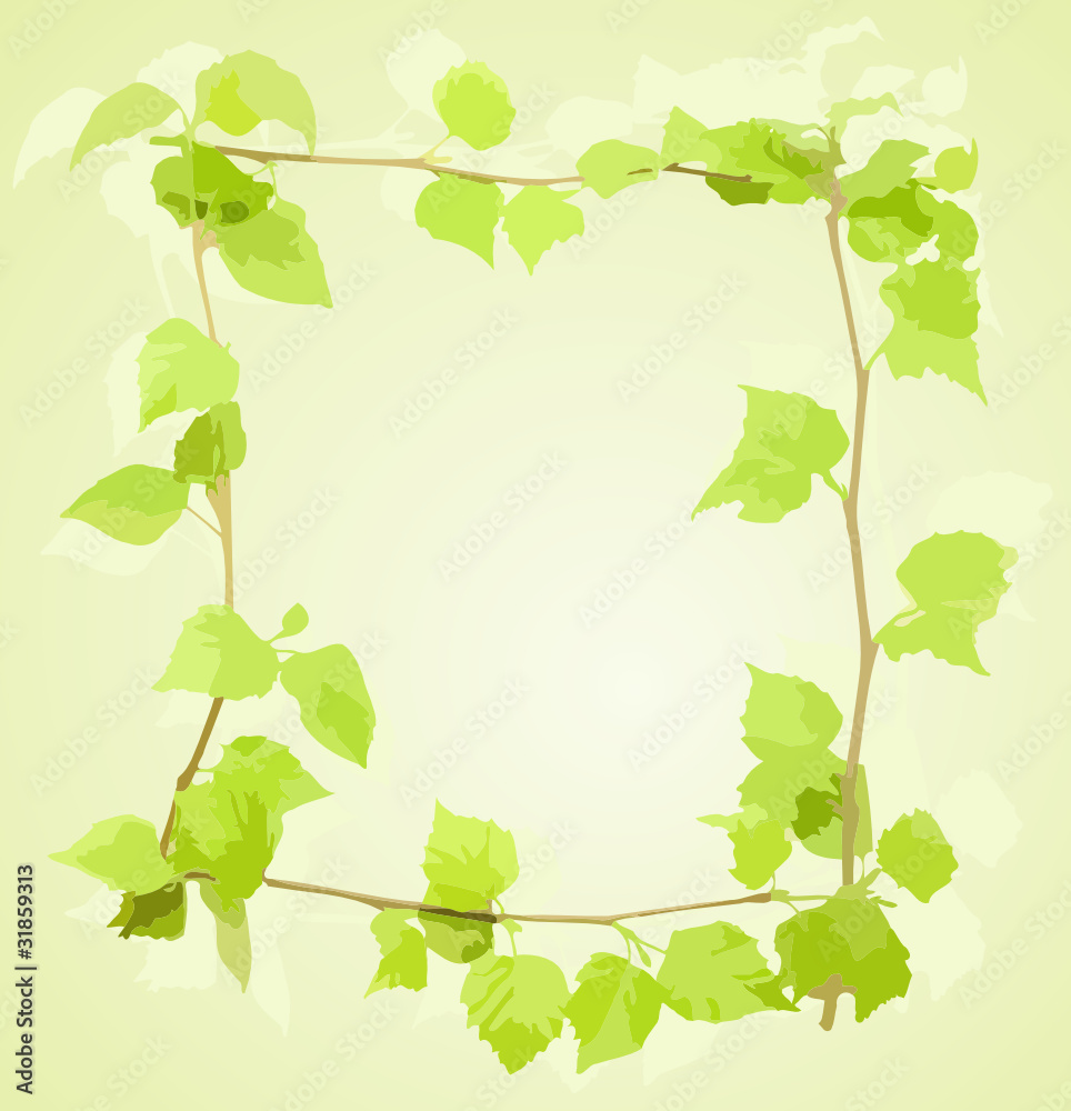 Obraz premium Green birch frame, vector illustration