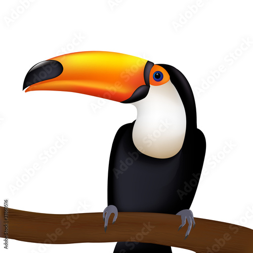 Toucan