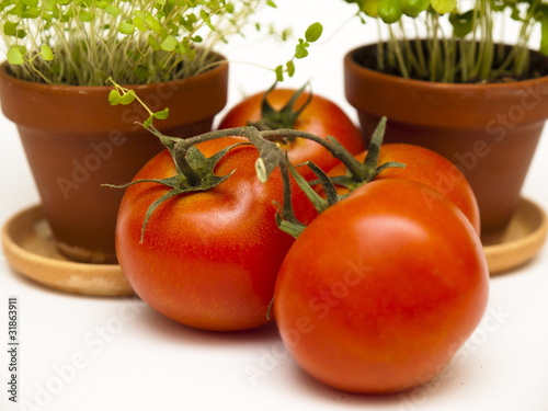 kiść pomidorów