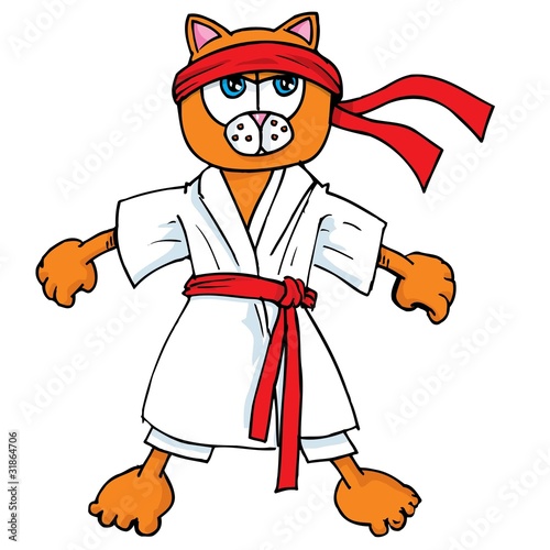 Cartoon cat in karate outfit