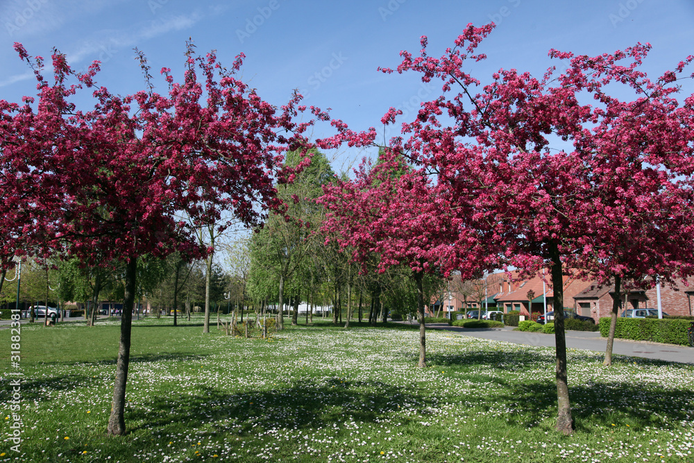 Naklejka premium Flore