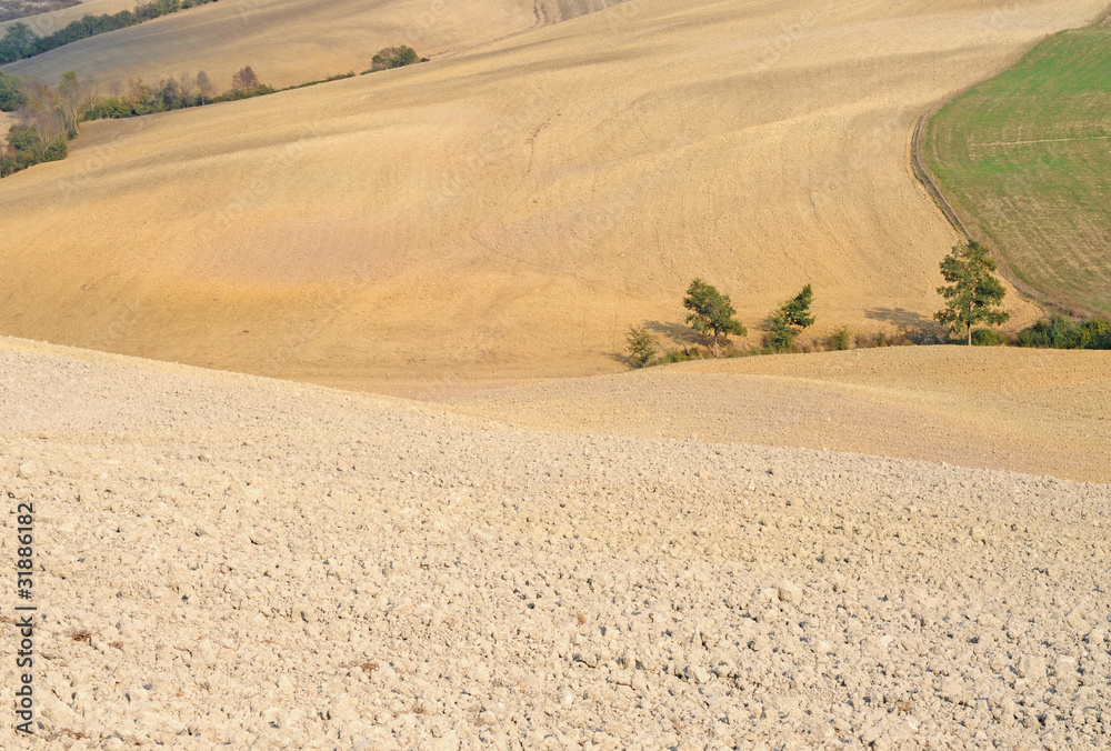 Undulating fields in Tuscany, Italy, Europe