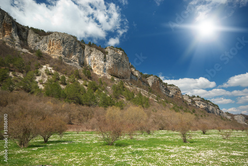 Meadow in mountain