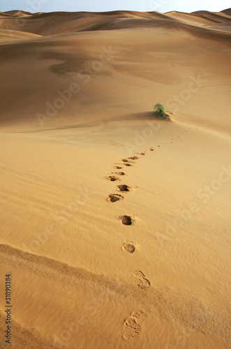 the Erg Chebbi Dunes,Merzouga. Tafilalet. Morocco.Africa