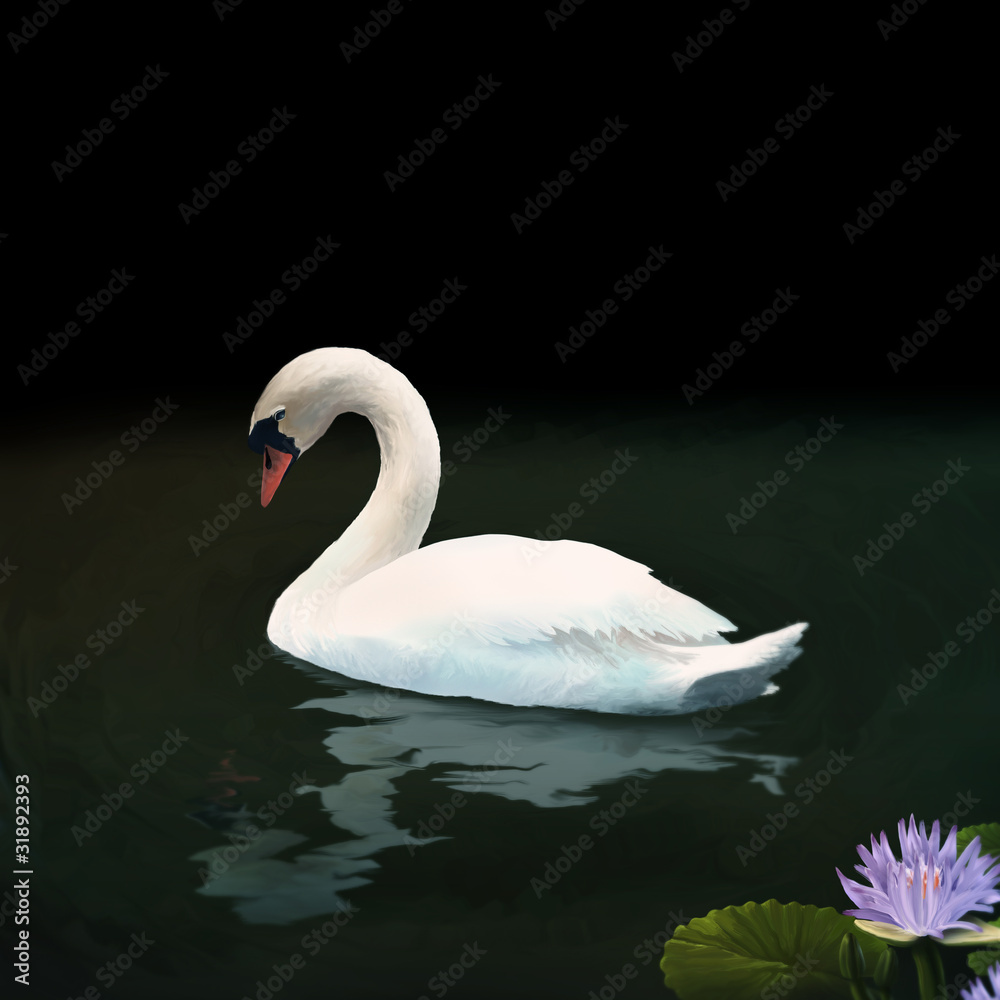 Fototapeta premium digital painting of a Mute Swan reflected on a dark lake