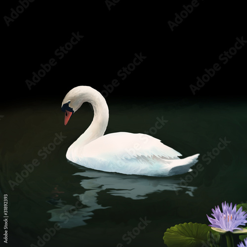 Fototapeta Naklejka Na Ścianę i Meble -  digital painting of a Mute Swan reflected on a dark lake