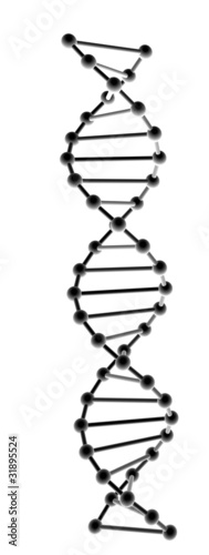 Dna model