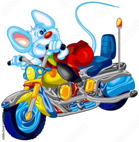 rabbit riding a motorbike