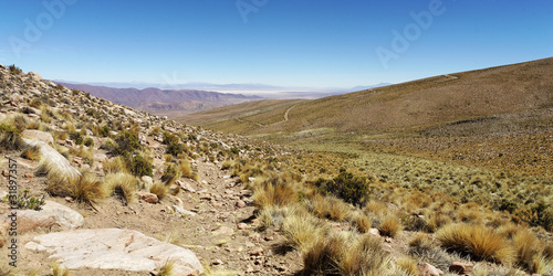 Randonnée dans l'immense altiplano argentin (amérique du sud)