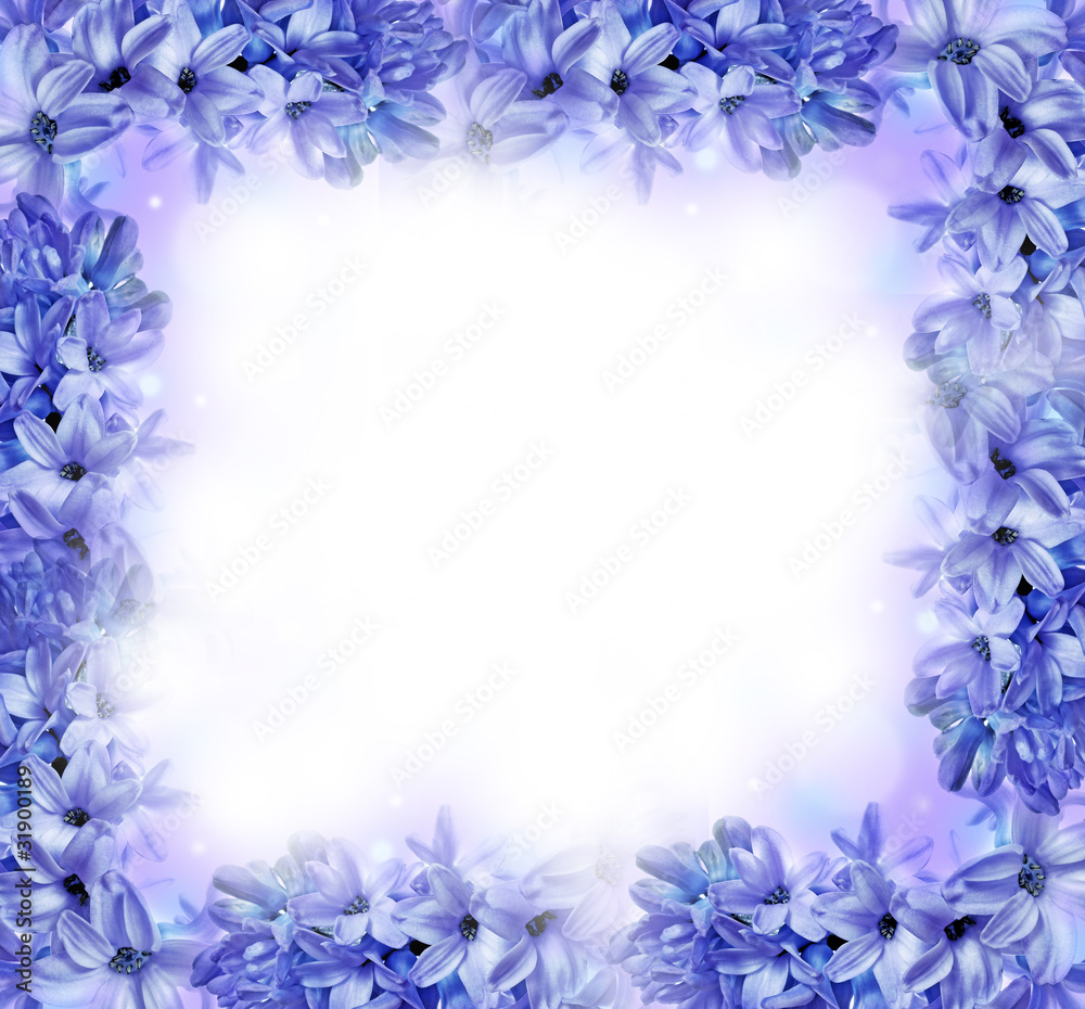 floral frame - hyacinths