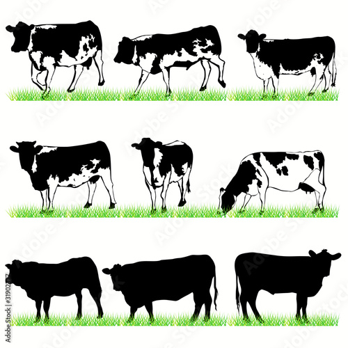 Cows & Bulls set