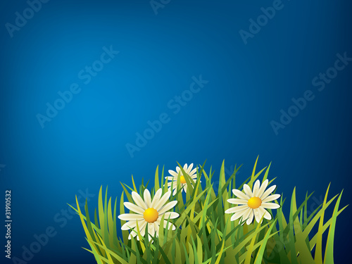 Flower in green grass and blue background