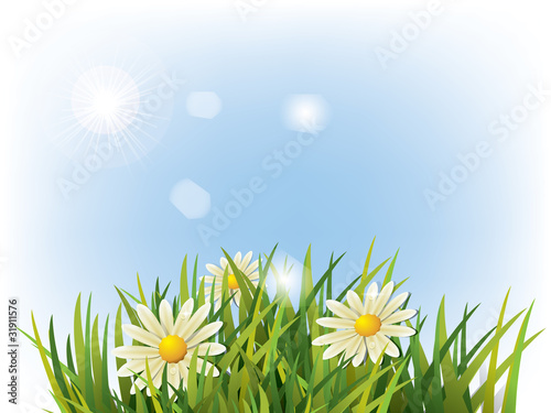 Flower in green grass and blue background