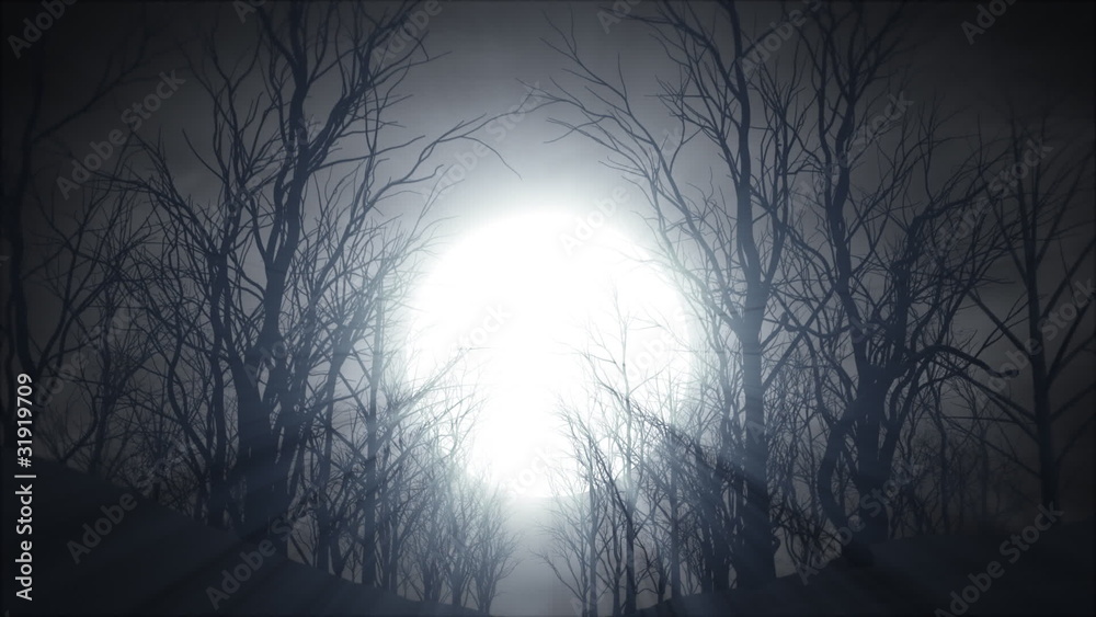 Dead Woods