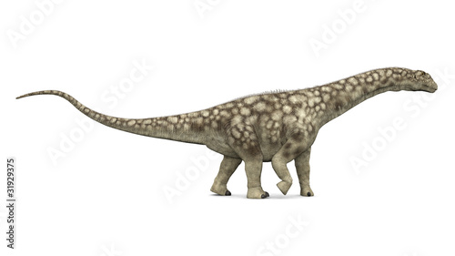 Argentinosaurus photo