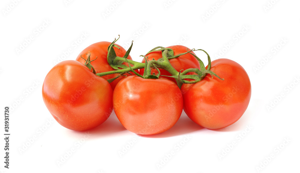 fresh tomatoes on white