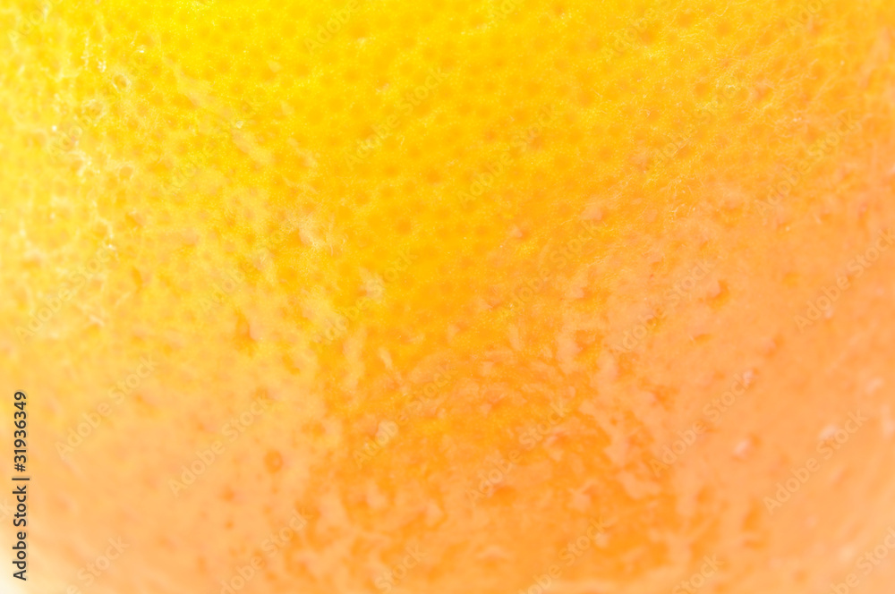 Close up of An Orange Close up of An Orange