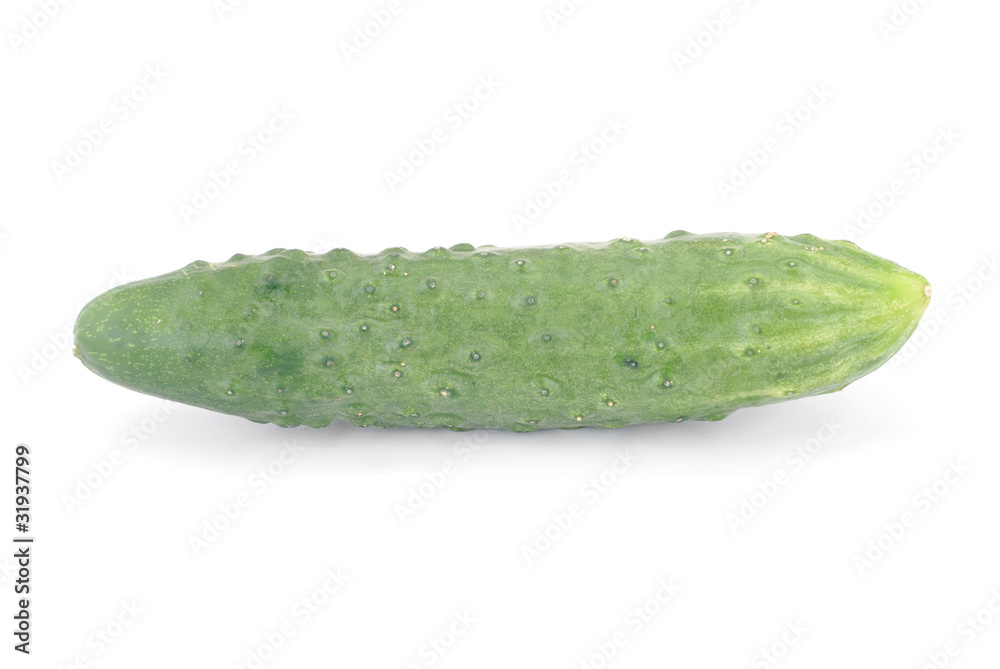 Whole cucumber isolated on the white background Whole cucumber isolated on the white background