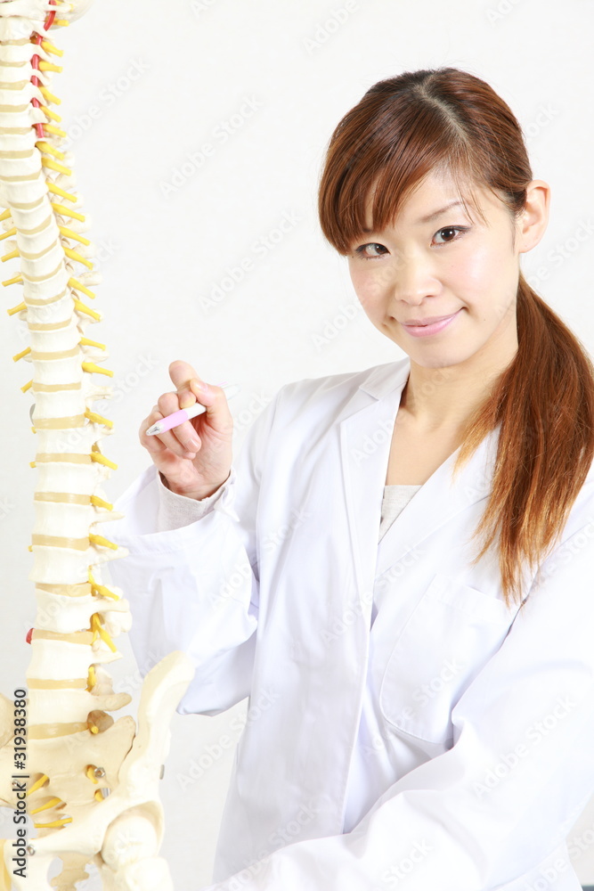 Chiropractor using a plastic model to explain about spine Chiropractor using a plastic model to explain about spine