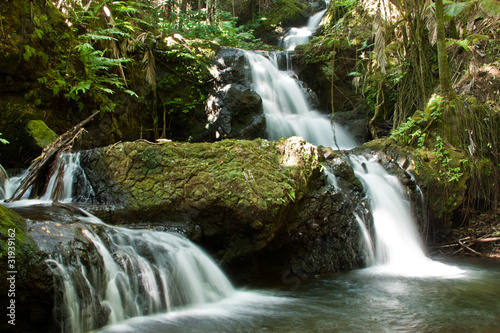 Tropical Waterfalls