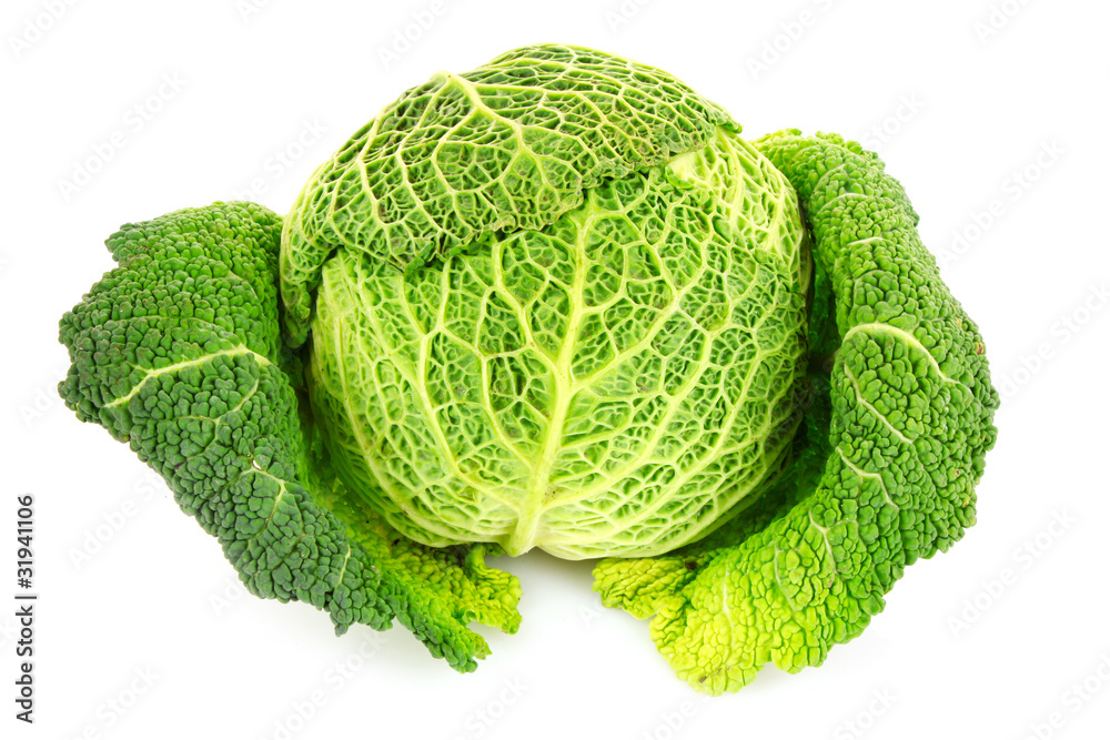 Fototapeta premium Savoy cabbage isolated on white