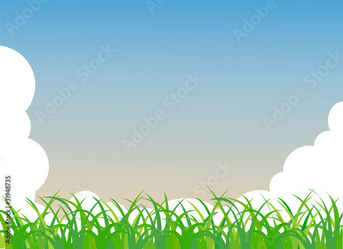 green grass and blue sky