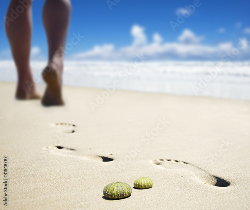 Sea urchin shells with someone walking on the beach