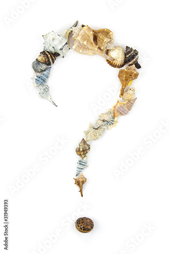 Question Mark made of Several Shells. Summer Theme