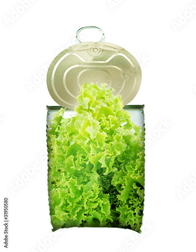 Fresh green saland in can cross-section. Health food concept photo