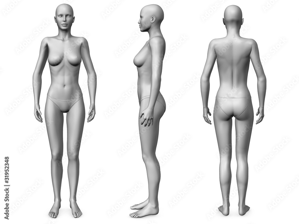 female body Stock Illustration | Adobe Stock