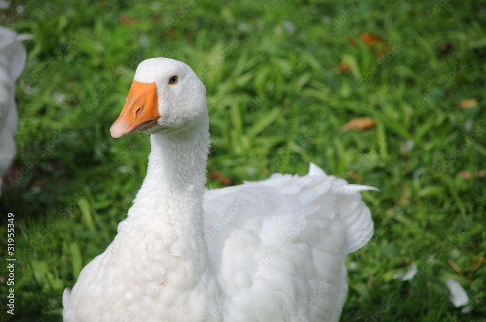 bio macht glücklich bio macht glücklich