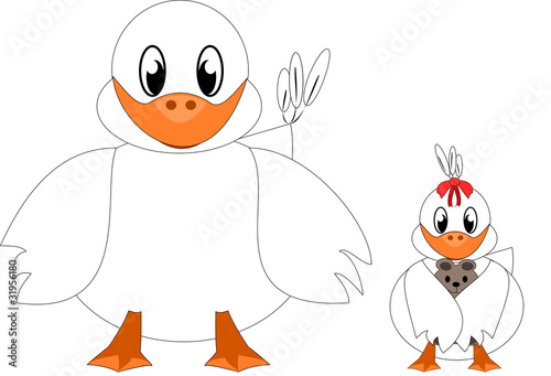 ducks