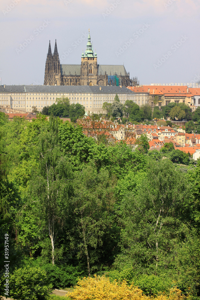 Fototapeta premium Widok na wiosnę Gotycki Zamek Praski z zieloną przyrodą