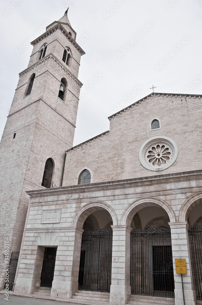 Cathedral. Andria. Apulia.