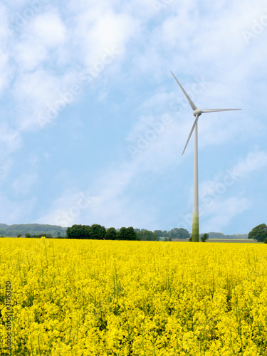 Windkraftanlage im Rapsfeld