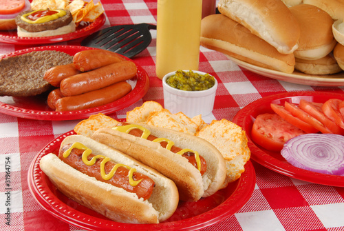 Photography Summer picnic