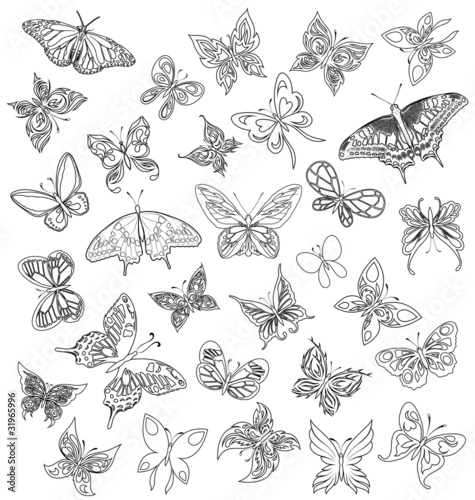 Set  black white butterflies of a tattoo