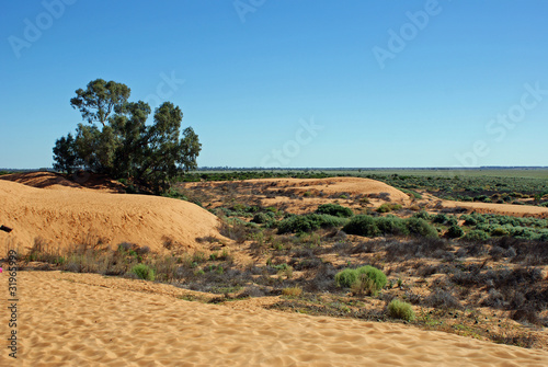 Sandhills
