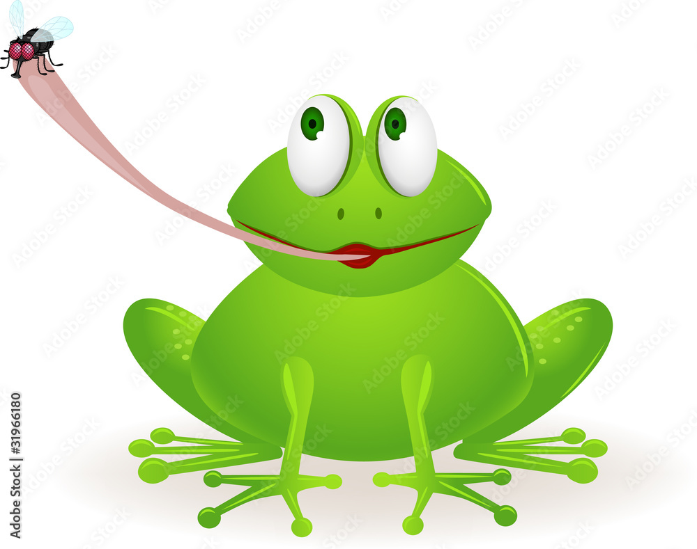 frog cartoon frog cartoon