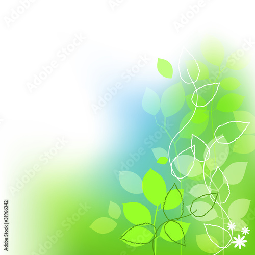 Fresh leaves summer background