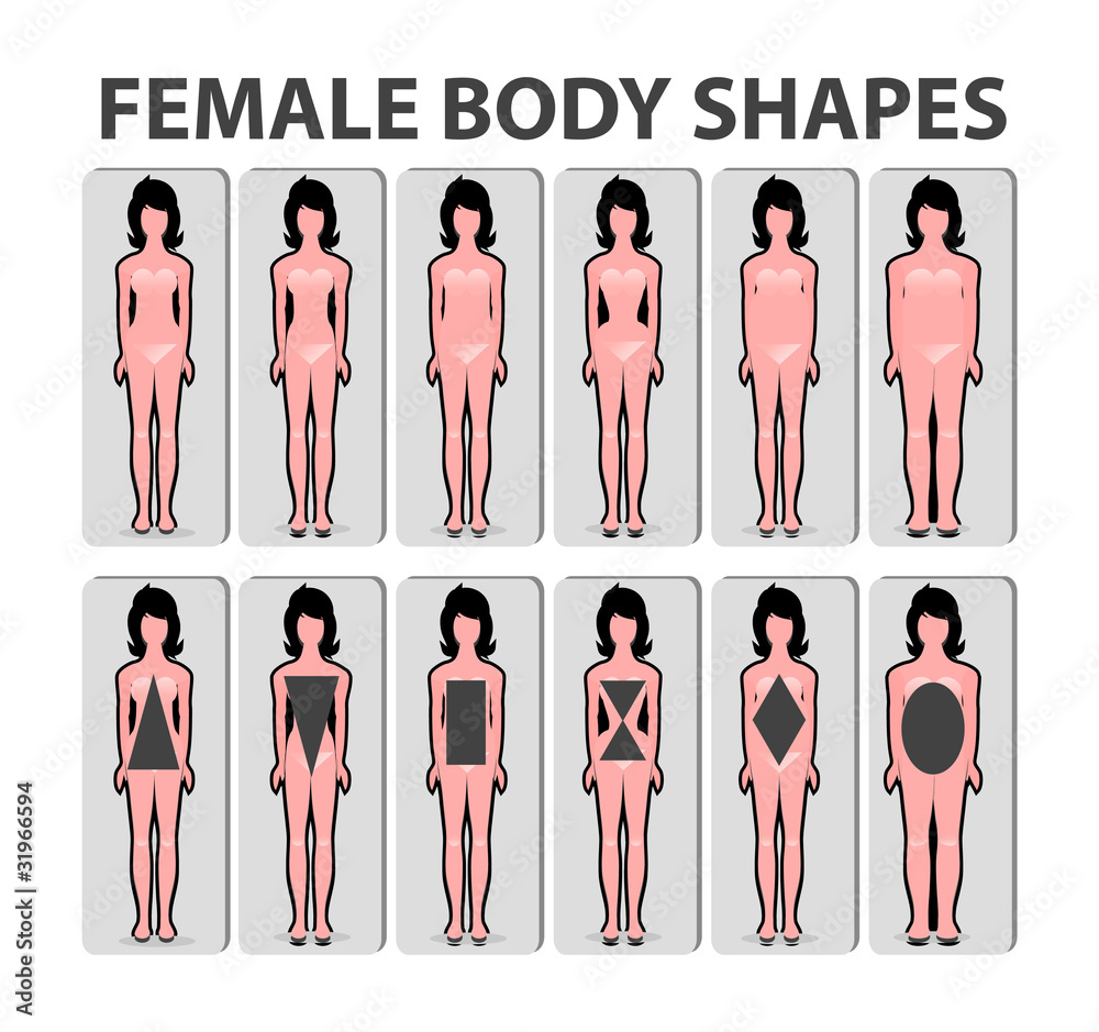 Female body shape or figure types. Woman collection. Body propor Stock  Photo