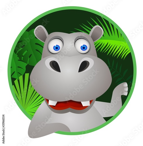 cute hippo